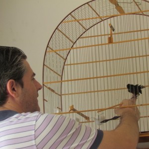 Criatório Almirante